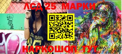 индика Моздок