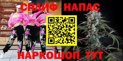 индика Моздок