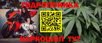 индика Моздок