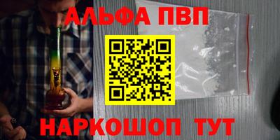 индика Моздок