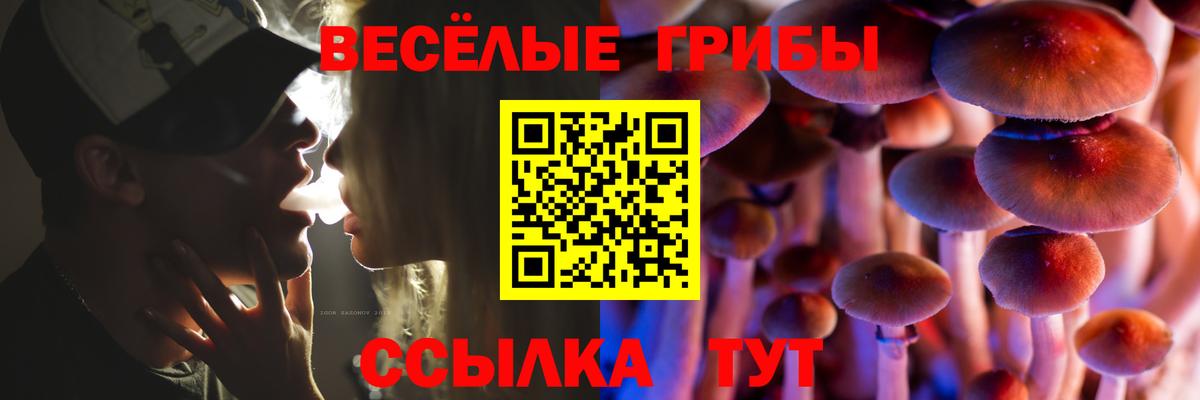 Галлюциногенные грибы Psilocybe Севастополь